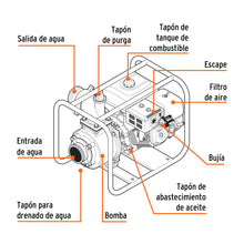 Motobomba Autocebante 2' X 2' A Gasolina 7 HP, TRUPER